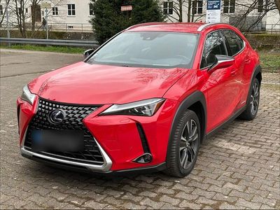 Gebraucht Lexus UX 250h Luxury Line 184 PS (135 kW) 2021 Rot SUV