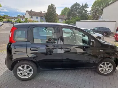 Gebraucht Fiat Panda 4x4 Wild 86 PS (63 kW) 2018 Schwarz Kleinwagen