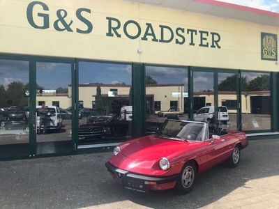 gebraucht Alfa Romeo Spider Im Kundenauftrag!!!