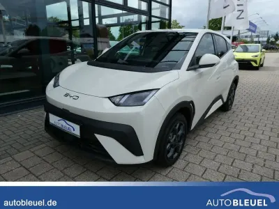 Neu BYD Dolphin Surf Comfort 114 kW (156 PS) 2026 Polar night Kleinwagen