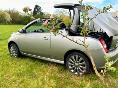 Gebraucht Nissan Micra 88 PS (64 kW) 2008 Silber Cabrio
