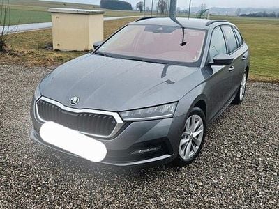 Gebraucht Skoda Octavia SE L 150 PS (110 kW) 2024 Grau Kombi