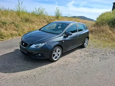 Gebraucht Seat Ibiza Sport 105 PS (77 kW) 2009 Grau Kleinwagen