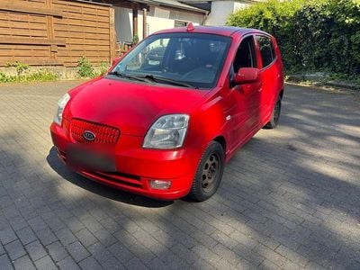 Usata Kia Picanto 65 CV (47 kW) 2006 Rosso Utilitaria