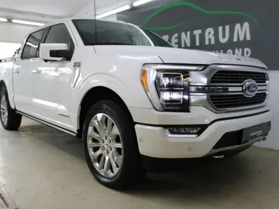 Gebraucht Ford F-150