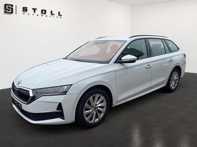 Gebraucht Skoda Octavia Selection 116 PS (85 kW) 2025 Weiss Kombi
