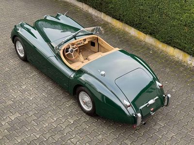 gebraucht Jaguar XK XK120 Umbau