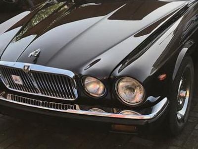 Gebraucht Jaguar XJ6 206 PS (151 kW) 1981 Braun Limousine