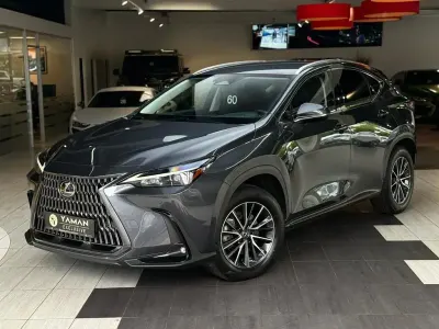 Second-hand Lexus NX350h Business Edition 243 CP (178 kW) 2023 Gri SUV