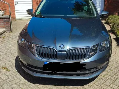 Gebraucht Skoda Octavia Ambition 116 PS (85 kW) 2019 Grau Kombi
