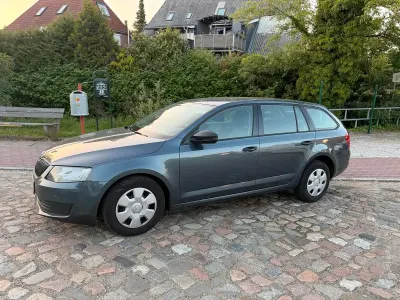 Gebraucht Skoda Octavia Active 110 PS (80 kW) 2015 Grau Kombi