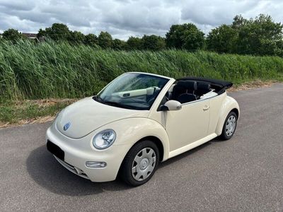 VW Beetle