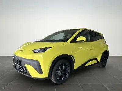 Brugt BYD Dolphin Surf