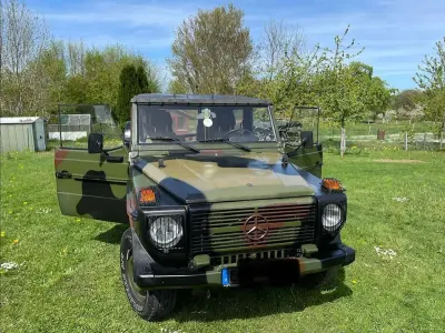 Gebraucht Mercedes G250 92 PS (67 kW) 1991 Grün SUV