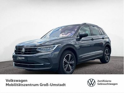 Delfingrau metallic Gebraucht 2020 VW Tiguan Life SUV | 24.250 € (Teuer)