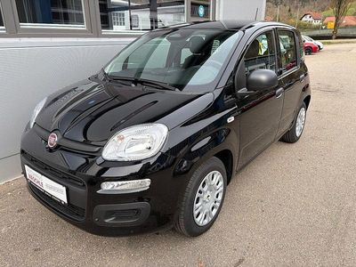 Neu Fiat Panda Icon 65 PS (47 kW) 2026 Schwarz Kleinwagen