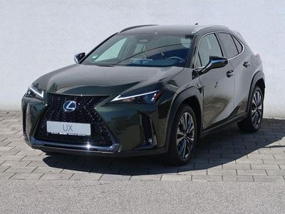 Lexus UX 300h