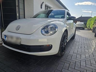 VW Beetle