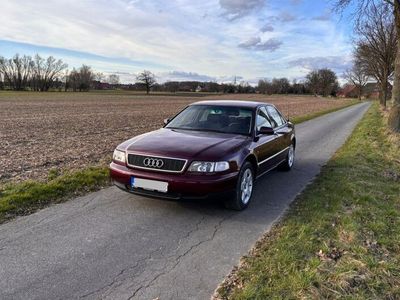 gebraucht Audi A8 D2 Schalter