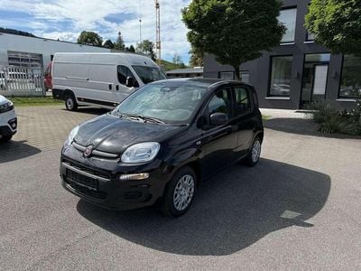 Neu Fiat Panda 69 PS (50 kW) 2025 Schwarz Kleinwagen