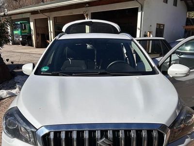 Gebraucht Suzuki SX4 S-Cross 110 PS (80 kW) 2019 Weiß SUV