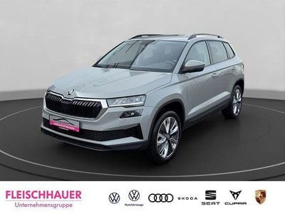 Gebraucht Skoda Karoq Selection 150 PS (110 kW) 2023 Grau SUV