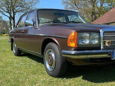 Gebraucht Mercedes 230 136 PS (100 kW) 1983 Braun Limousine