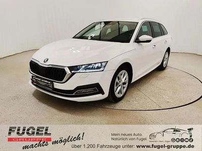 Usata Skoda Octavia First Edition 150 CV (110 kW) 2020 Bianco Station wagon