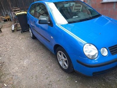 VW Polo