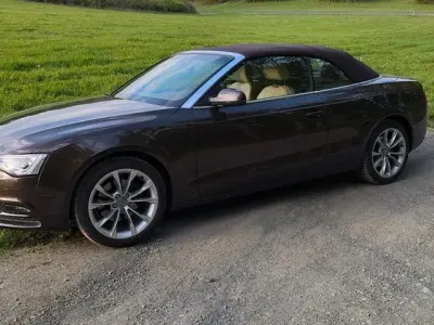 Gebraucht Audi A5 Cabriolet Sport 170 PS (125 kW) 2014 Braun Cabrio