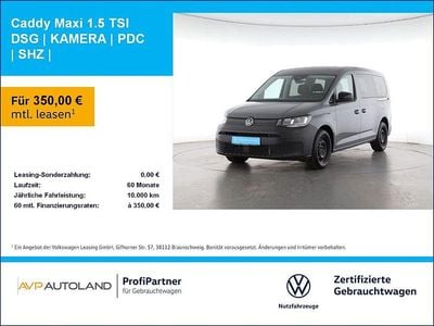 Pure grey Gebraucht 2024 VW Caddy Maxi Basis Van / Kleinbus | 30.460 € (Guter Preis)