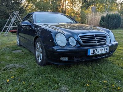 Mercedes CLK230