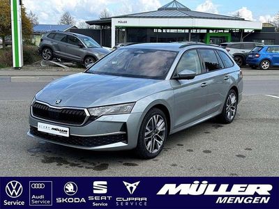 Novo Skoda Octavia Lounge 150 HP (110 kW) 2026 Prateado Carrinha