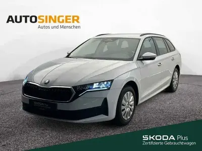 Gebraucht Skoda Octavia Essence 116 PS (85 kW) 2025 Moonweiss metallic Kombi