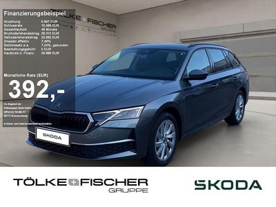 Grau Gebraucht 2025 Skoda Octavia Selection Kombi | 28.449 € (Guter Preis)