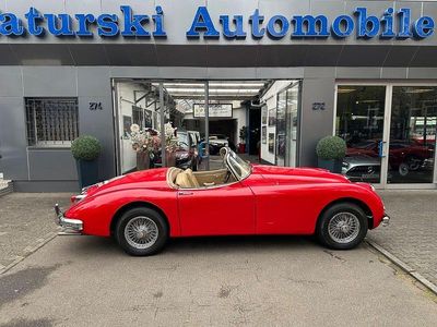 Brugt Jaguar XK 209 HK (153 kW) 1958 Cabriolet