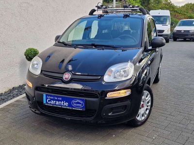 gebraucht Fiat Panda Easy -Klima/Dachträger/S-Heft/Garantie-