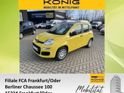 Neu Fiat Panda 69 PS (50 kW) 2025 Positano gelb dach schwarz (ge Kleinwagen