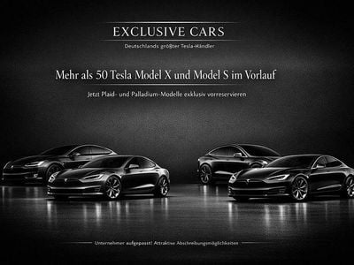 Grau Gebraucht 2023 Tesla Model S Plaid Kleinwagen | 77.749 € (Guter Preis)