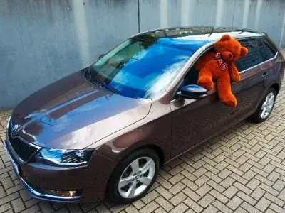Gebraucht Skoda Rapid Style 110 PS (80 kW) 2018 Braun Kleinwagen
