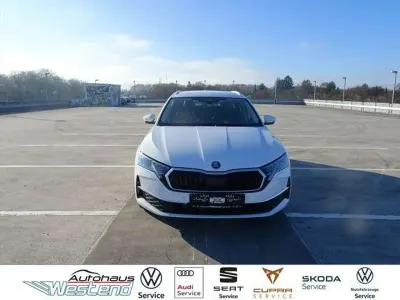 Gebraucht Skoda Octavia 150 PS (110 kW) 2025 Candyweisa (weiß) Kombi