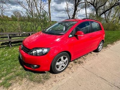 Usata VW Golf Plus Cross Comfortline 160 CV (117 kW) 2009 Rosso Monovolume