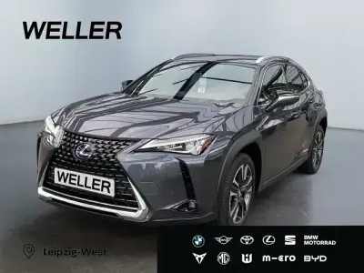 Gebraucht Lexus UX 250h 152 PS (111 kW) 2022 Grau SUV