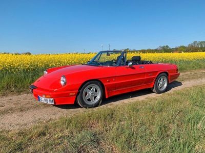 gebraucht Alfa Romeo Spider 2.0, , H-Kennzeichen