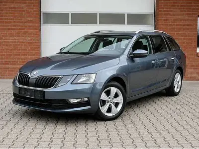 Gebraucht Skoda Octavia 131 PS (96 kW) 2021 Grau Kombi