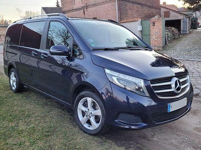 Gebraucht Mercedes V250 Edition 190 PS (139 kW) 2017 Blau Van / Kleinbus
