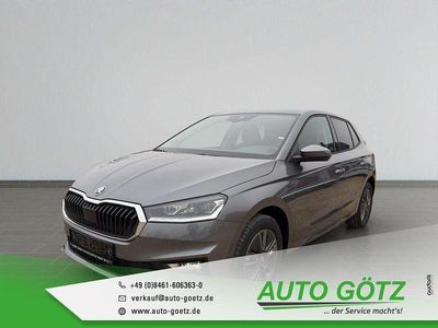 Grau Neu 2025 Skoda Fabia Tour Limousine | 23.690 € (Fairer Preis)