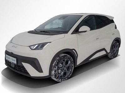 Neu BYD Dolphin Surf Comfort 114 kW (156 PS) 2026 Beige Kleinwagen