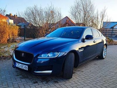 Gebraucht Jaguar XF Portfolio 179 PS (131 kW) 2017 Blau Limousine