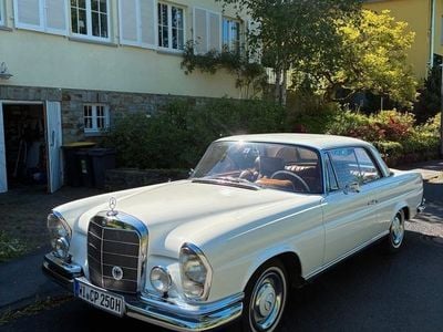 Gebraucht Mercedes 250 SE 150 PS (110 kW) 1965 Weiß Coupé